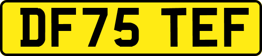 DF75TEF