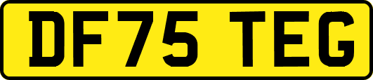 DF75TEG