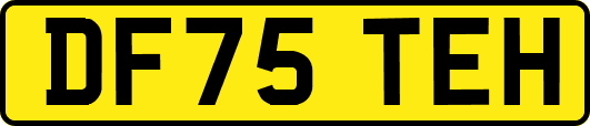 DF75TEH