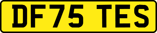 DF75TES