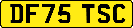 DF75TSC