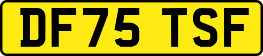 DF75TSF