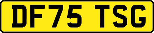 DF75TSG