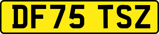 DF75TSZ