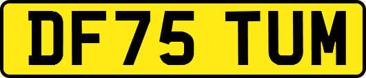 DF75TUM
