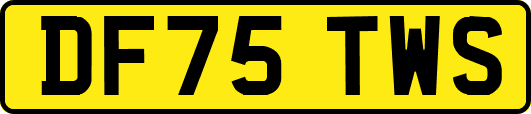 DF75TWS