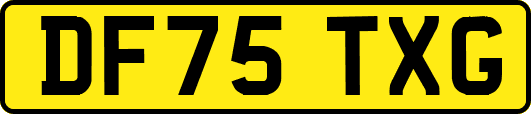 DF75TXG