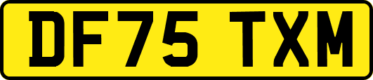 DF75TXM