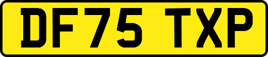 DF75TXP