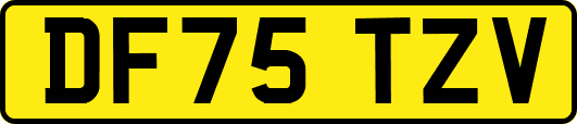 DF75TZV