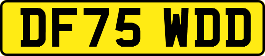 DF75WDD