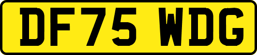 DF75WDG