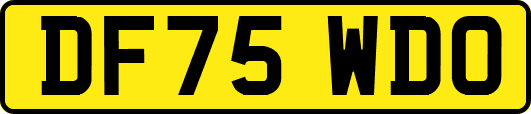 DF75WDO