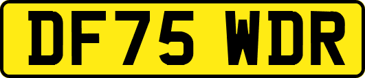 DF75WDR