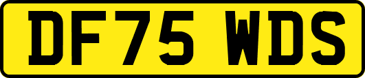 DF75WDS