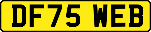 DF75WEB