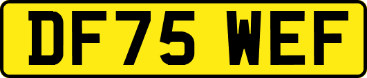 DF75WEF