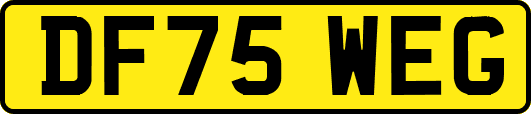 DF75WEG