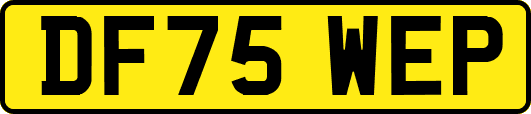 DF75WEP
