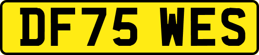 DF75WES