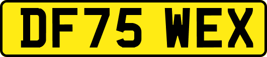 DF75WEX