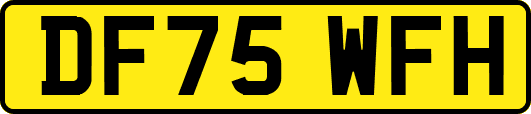 DF75WFH