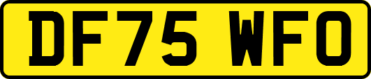 DF75WFO