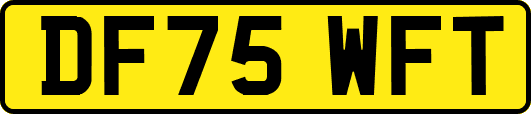 DF75WFT