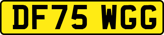 DF75WGG