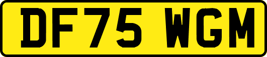 DF75WGM