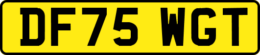 DF75WGT