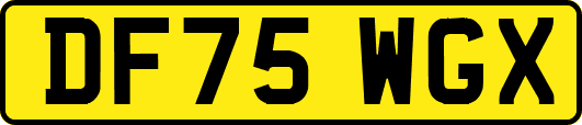 DF75WGX
