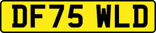 DF75WLD