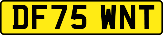 DF75WNT
