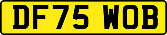DF75WOB