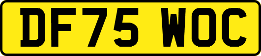 DF75WOC