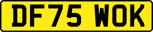 DF75WOK