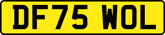 DF75WOL