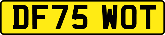 DF75WOT
