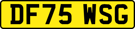 DF75WSG