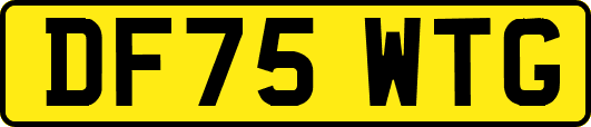 DF75WTG