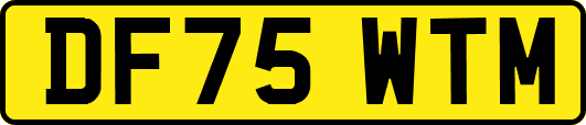 DF75WTM