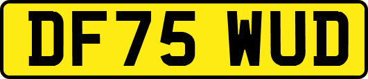 DF75WUD