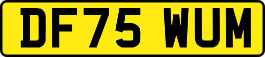 DF75WUM