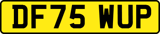 DF75WUP