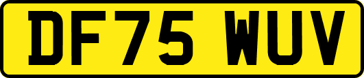 DF75WUV