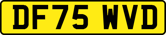 DF75WVD