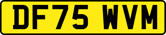 DF75WVM