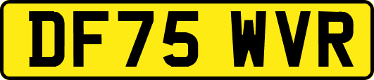 DF75WVR