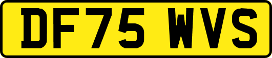 DF75WVS